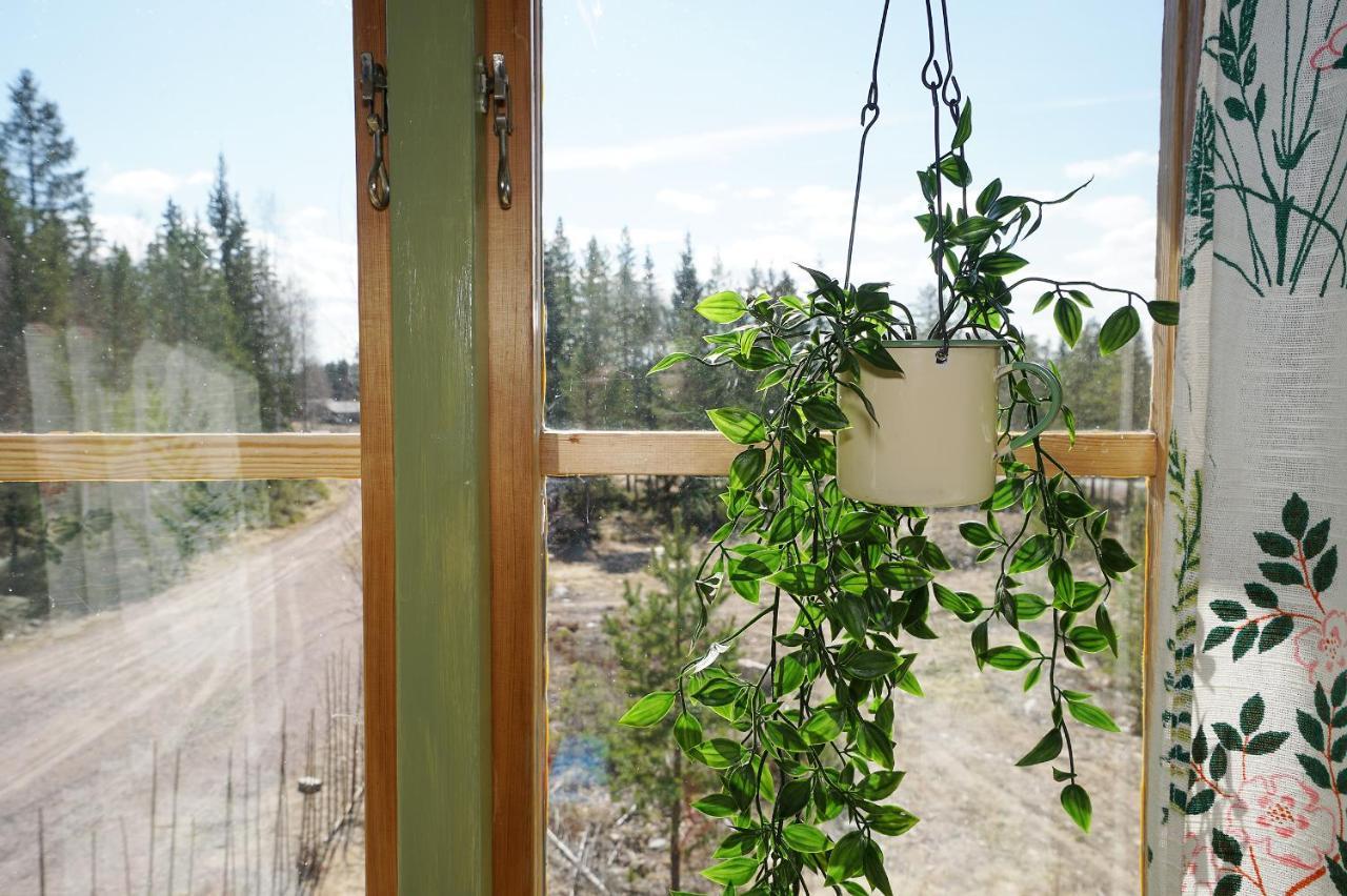 Mittjas Vallen Timber Lodge & Cabins Edsbyn 외부 사진